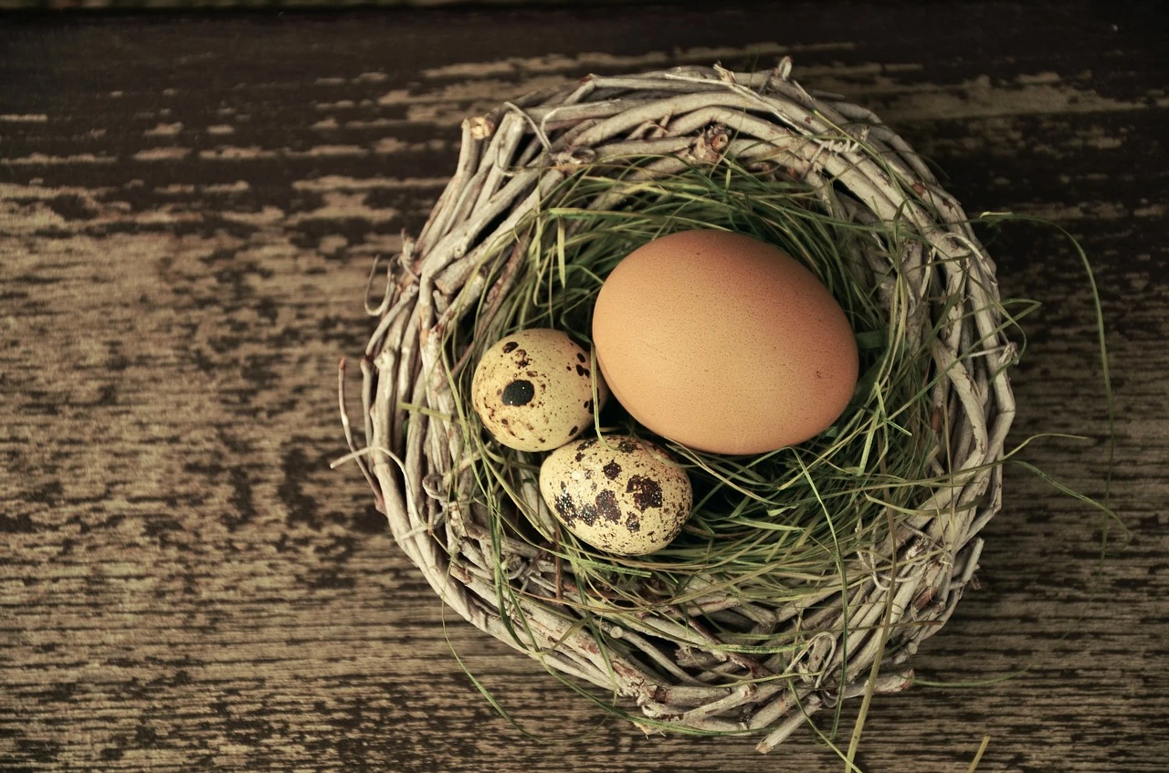 Ungelegte Eier – auf-(nicht aus)-geblasen