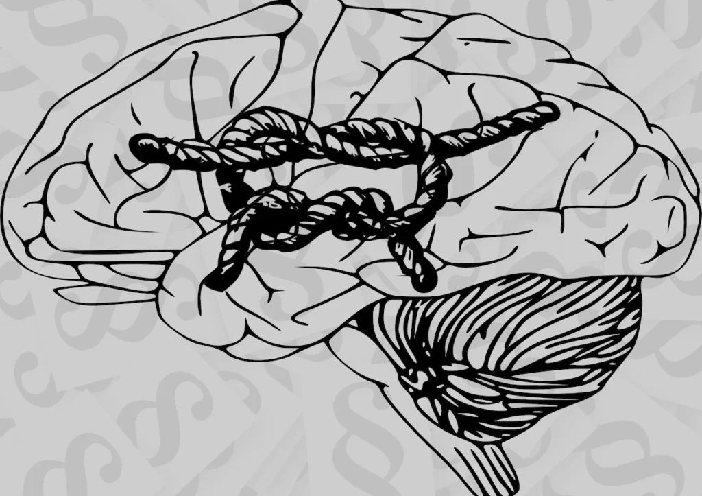 Die Steuer und der Knoten im Gehirn